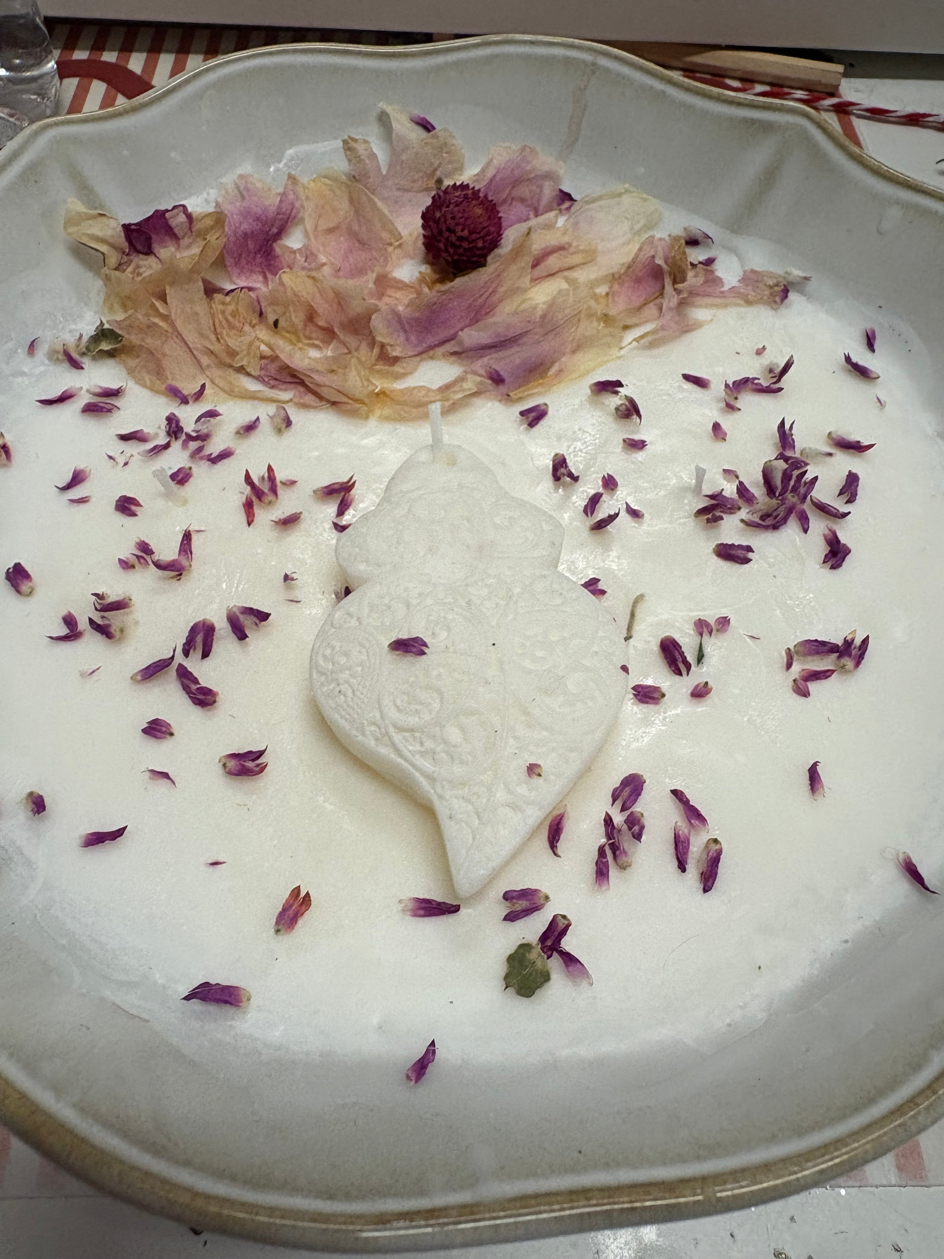 Horizonte Verde.                 A vela  do equilíbrio e renovação